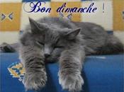 Magnifique prix chez Natt