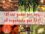 ronde gourmands petit inter-blog quatrième édition poisson terrine