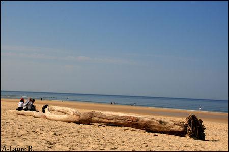 Lege_Cap_Ferret_136_copie