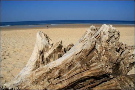 Lege_Cap_Ferret_114_copie