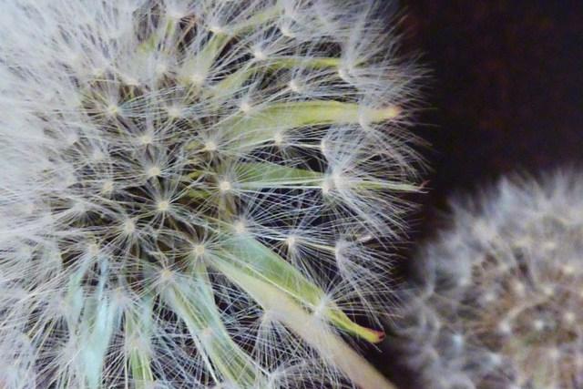 Image Hosted by ImageShack.us