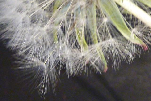 Image Hosted by ImageShack.us