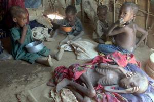 Crise alimentaire au Sahel: 10 millions de personnes touchées