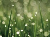 Lauréats concours Rêve Vert