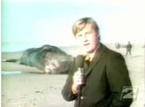 WHALE+TNT/BALEINE+TNT