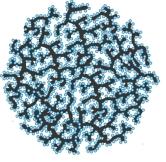 Batterie - Lithium-Ion silicium - Georgia Tech - structure moléculaire