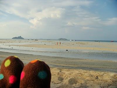 Maskot à la plage - Koh Phi Phi (THAILANDE)
