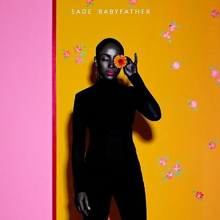 La pochette du nouveau single de Sade ressemble à ça!