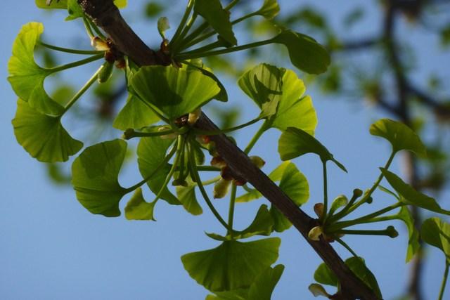 Image Hosted by ImageShack.us