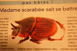 Illustrations [1600x1200]