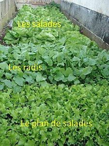 Le-jardin.jpg