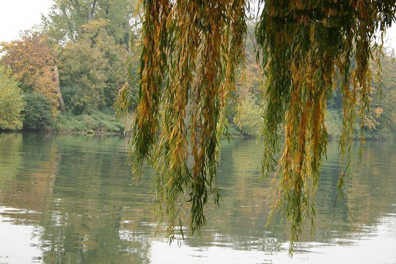 Le vent soulève la poussière (Jean-Vincent Verdonnet)