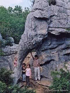 Les animaux de pierre du bois de Païolive (Ardèche)
