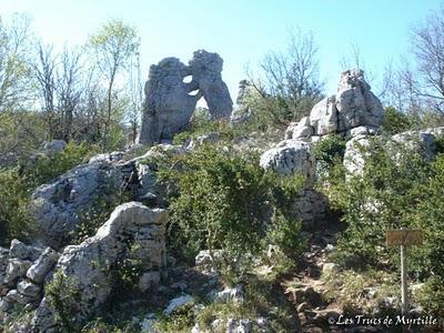 Les animaux de pierre du bois de Païolive (Ardèche)