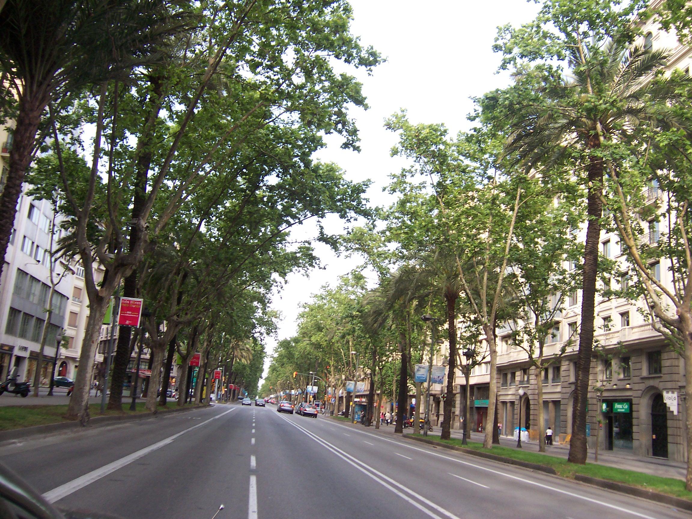 Avigunda Diagonal Barcelone
