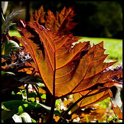 je tape dans le mille