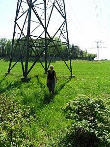 le pylone au bord du sentier