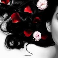 Quelques référence pour les designers et web designers…