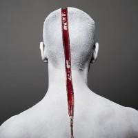 Quelques référence pour les designers et web designers…