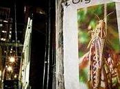 Amusons-nous avec L’Organisme