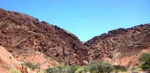 ps-bolivie-morales-arbres-plantations-10-millions-environnement-ps76-blog76