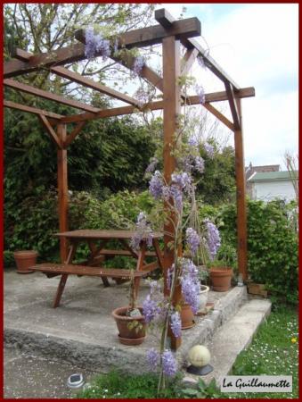 Il neige dans mon jardin.....