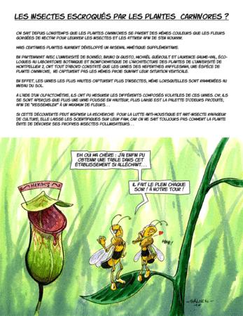 plante_carnivore