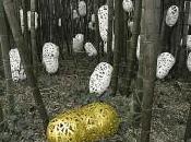 Mireille Laborie Bambouseraie d’Anduze (30)