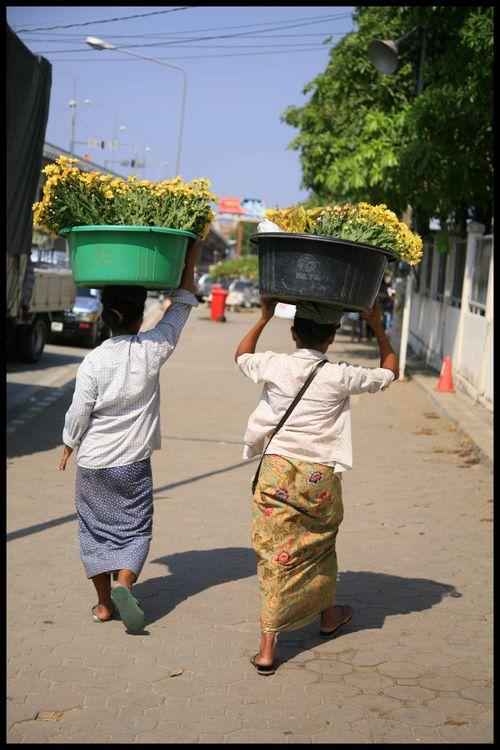 BLOG MAE SOT smedi 6