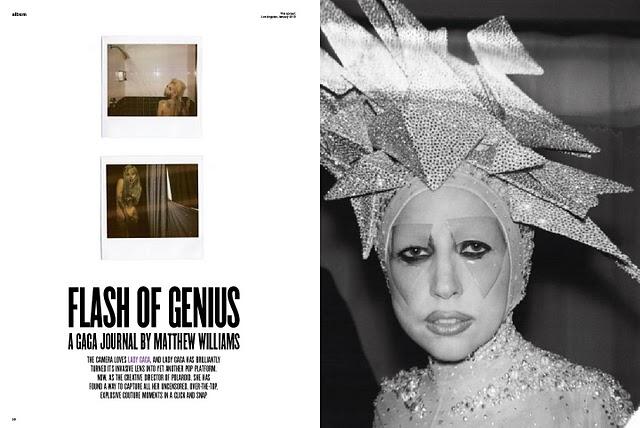 ► Le Journal Polaroïd de Lady Gaga dans V Magazine ◄