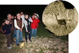 Sortie nature nocturne