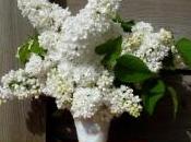 Bouquet lilas blanc, bonheur