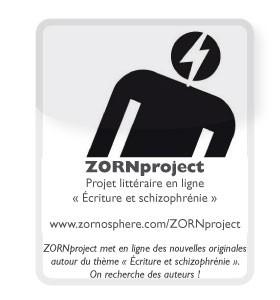 ZORNproject.jpg