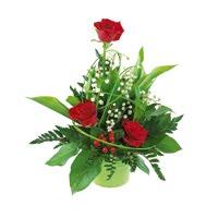 Bonheur... à toutes et à tous !