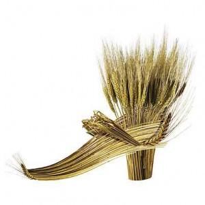 Lectures bloguesques (de la semaine 17-2010)