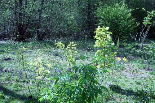 coup de f x 3 romi 27 avril 023.jpg