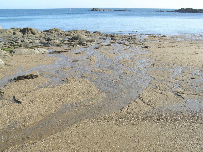 La mer n’a pas le temps de converser avec le sable (Adonis)