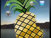 jailbreak iPad bêta