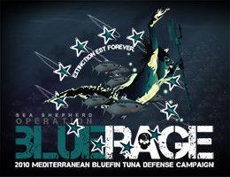 news_100428_1_1_BlueRage_logo_260