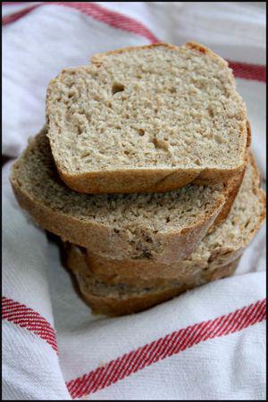 pain_aux_germes_de_bl_
