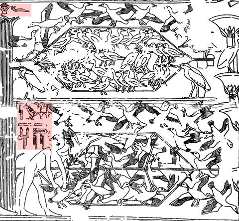 Filet hexagonal - Dessin scènes de chasse mastaba de Ty (O