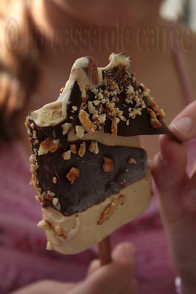 Cent-deuxième participation aux TWD - Pops glacés au sucre brûlé en habit de chocolat craquant et d'arachides rôties au miel
