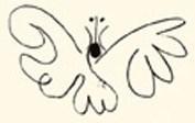 papillon-serigraphie-de-picasso.1272944190.jpg