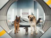 Comme chiens chats bande annonce délirante film