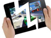 iPad dans four micro-ondes