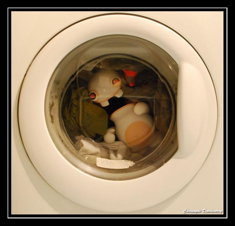 Lapin crétin dans le lave-linge ! - Paperblog