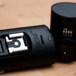 Cactus1 Cactus trigger V4