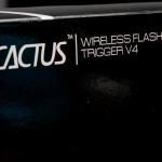 Cactus trigger V4