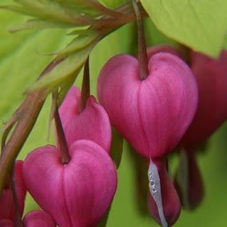 Ce qui me fait sourire...