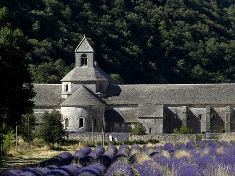 Provence Côte d'Azur : Sénanque